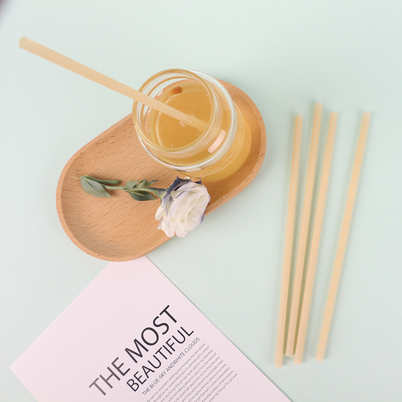 PHA Bamboo Powder Straw