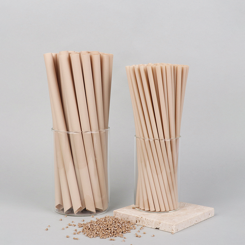 PBS Bamboo Powder Straw